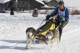 Lenk 2012 SM